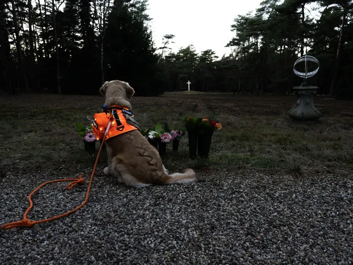 Bailey kijkt uit over het Eerbewijs in Loenen, tussen bos en bloemen.