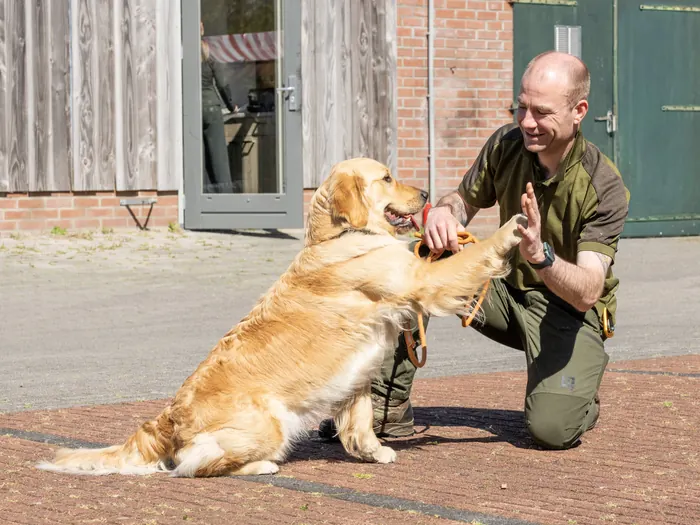 Wouter en Bailey geven elkaar een high five.