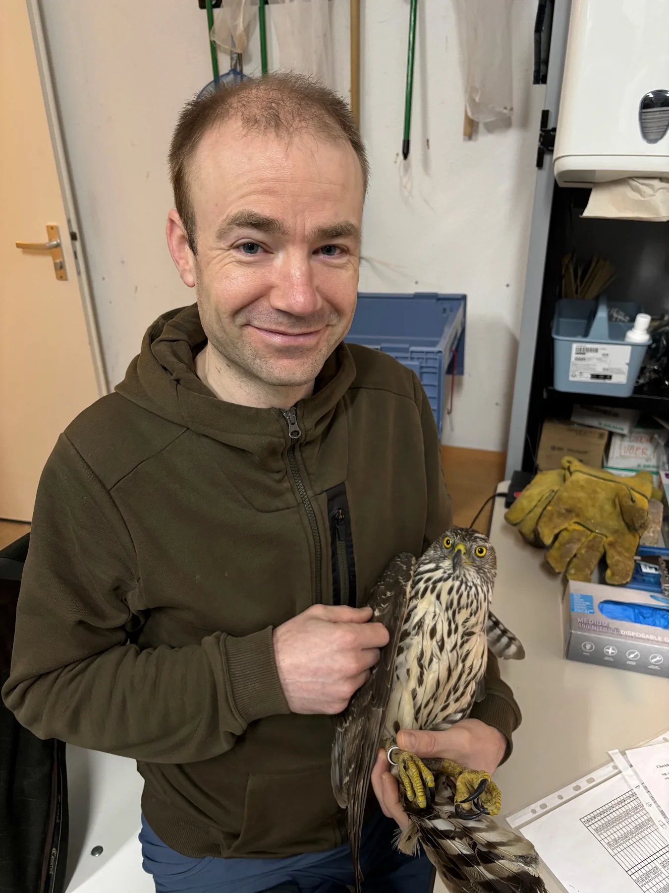 Wouter met geringde havik bij vogelopvang Leiden